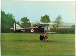 Thème - Transport - Avion - Ed. Skilton -  Sopwith Pup 1916 - 1914-1918: 1ère Guerre