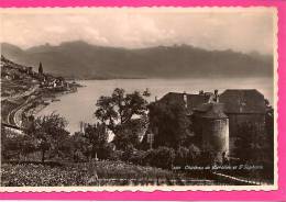 12 / 8 / 423  -  CHATEAU DE  CLÉROLLES ET ST. SAPHORIN  - CPSM - Saint-Saphorin