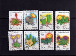 SOMALIA SOOMAALIYA 1995 FLAT PLANTS - PIANTE GRASSE - PLANTES SUCCULENTES MNH - Somalie (1960-...)