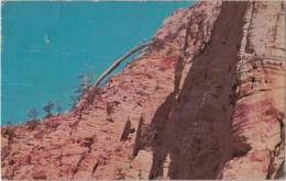 Zion National Park, Natural Arch On Bridge Mountain From Watchman Trailhead, Springdale, Utah UT United States, Vintage - Zion