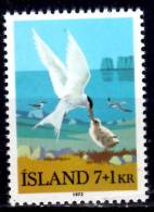 Iceland 1972 7k + 1k  Arctic Terns Semi Postal Issue #B23 - Ungebraucht