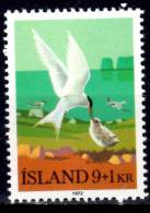 Iceland 1972 9k + 1k  Arctic Terns Semi Postal Issue #B24 - Ungebraucht