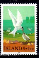 Iceland 1972 9k + 1k  Arctic Terns Semi Postal Issue #B24 - Ongebruikt