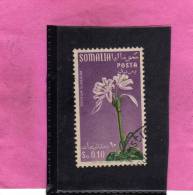 SOMALIA AFIS 1955 FIORI FLOWERS FLEURS FLORA GRINUM SCABRUM CENT. 10c 0,10S USATO USED OBLITERE' - Somalia (AFIS)