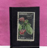 SOMALIA AFIS 1955 FIORI FLOWERS FLEURS FLORA CALATRAPIS PROCERA CENT. 60c 0,60S USATO USED OBLITERE' - Somalië (AFIS)