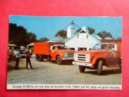 Dodge D 600 On The Job Harvest Time ====ref 657 - Camions & Poids Lourds