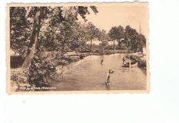 Kasterlee Zicht Op De Neeth  Watermolen - Kasterlee