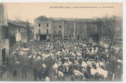 38 // BEAUREPAIRE   Place Ferdinant De Barrin   Un Jour De Foire     ANIMEE   Marché - Beaurepaire