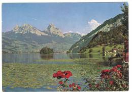 C1185 Lauerzersee Mit Mythen / Viaggiata 1975 - Lauerz