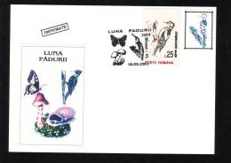 CLIMBING BIRD,MUSHROOMS,BUTTERFLY,2001, SPECIAL CARD, OBLITERATION CONCORDANTE, ROMANIA - Picchio & Uccelli Scalatori