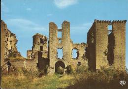 Aux Environs De MIREPOIX - Ruines Du Château De Lagarde - CPM - Mirepoix