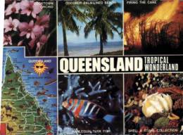 (010) Queensland - Tropical Wonderland - Other & Unclassified