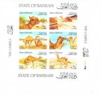 Bahrain 1989 Camels Animal Sheet S/S MNH - Bahreïn (1965-...)