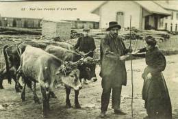 Sur Les Routes D'Auvergne   CPA  1911 - Ohne Zuordnung