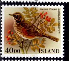 Iceland  1987 40k  Turdus Lilacus Issue #643 - Unused Stamps