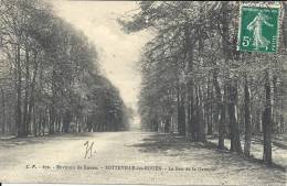 HAUTE NORMANDIE - 76 - SEINE MARITIME - SOTTEVILLE LES ROUEN - Le Bois De La Garenne - Sotteville Les Rouen