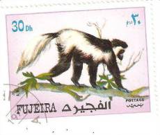 TIMBRE DES EMIRATS ARABES FUJEIRA - THEME LES SINGES - OBLITERE - Fujeira