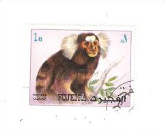 TIMBRE DES EMIRATS ARABES FUJEIRA - THEME LES SINGES - OBLITERE - Fujeira