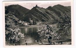 D3009   BORNHOFEN Am RGEIN : Zur Blutenzeit - Braubach