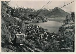 SUISSE - VITZNAU Mit Rigi-Bahn Und Alpen (1953) - Vitznau