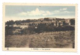 Médéa (Algérie) : Fauchage Des Prés Et Vue Générale En 1953 (animée) - Medea