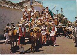 Canarias Tipica Romeria. Chars à Bœufs Décorés. - Otros & Sin Clasificación