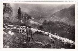 26 - Chatillon En Diois - Troupeu Communal Dans Les Montagnes - Editeur: Combier - Châtillon-en-Diois