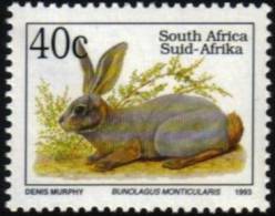 South Africa - 1993 6th Definitive Endangered Fauna 40c Rabbit Type I (**) # SG 809 , Mi 895IA - Lapins