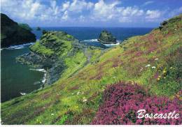 Boscastle John Hinde - Andere & Zonder Classificatie