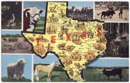 TEXAS Vintage GREETINGS Postcard~STATE MAP~c1940s~TEXAS ANIMALS~COYOTTE-HORSE~TX  [c4065] - Other & Unclassified