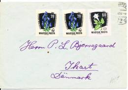 Hungary Cover Sent To Denmark 1961 ?? - Lettres & Documents