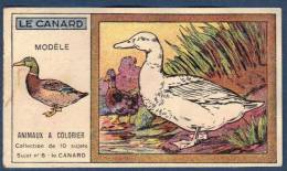 Chromo Chocolat Revillon Animaux à Colorier Sujet N°6 Le Canard - Revillon