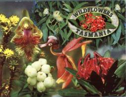 (465) Tasmania - Wildflowers - Andere & Zonder Classificatie