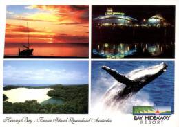 (468) Australia - QLD - Hervey Bay And Whale - Other & Unclassified