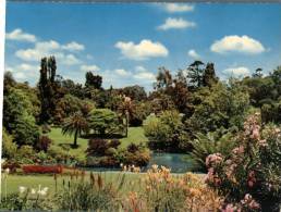 (127) Australia - VIC - Melbourne Botanical Gardens - Melbourne