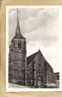 89 - Treigny  : L´ Eglise Aux Environs De Saint Sauveur En Puisaye - Treigny