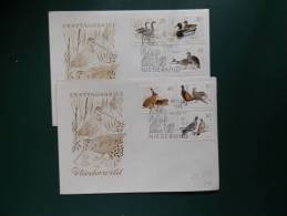 29/817   2    FDC  DDR - Wild