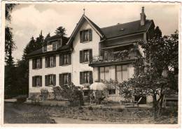 SUISSE  CHEXBRES  PENSION LA VIOLETTE 1952 - Chexbres