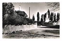 SOLIGNAC SUR LOIRE (HAUTE LOIRE - 43) - CPSM (FORMAT CPA) - LE MONUMENT AUX MORTS ET LA SAINTE VIERGE - Solignac Sur Loire