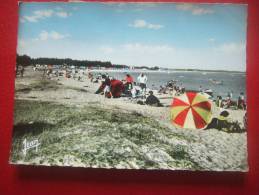 29 - ILE TUDY - LA PLAGE - PLAN RARE - - Ile Tudy