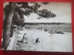 29 - LA FORET FOUESNANT - LA PLAGE DE KERLEVEN ET LE CAMP DE SAINT LAURENT -  - BELLE CARTE - - Ile Tudy