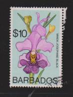 Barbados 1975 $10 Orchid Flower High Value Definitive FU - Barbados (1966-...)