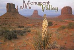 BR24798 Monument Valley Arizona Utah  The North Window    2 Scans - Other & Unclassified