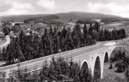 SBayern REGEN Im Bayrischen Wald, Nicht Gelaufen Um 1950, Sehr Gute Erhaltung - Regen