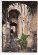 Delcampe - Ref 82 : Dept 17 CPSM JONZAC Entrée Des Soutairrains Du Chateau 17 J 23 - Jonzac