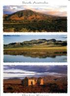 (415) Australia - South Australia - Flinders Ranges - Other & Unclassified