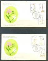 1990 NORTH CYPRUS ENDEMIC PLANTS OF TRNC 2x FDC SET - Cartas & Documentos