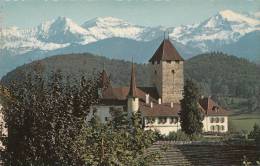 Delcampe - BR25064 Schloss Spiez   2 Scans - Spiez