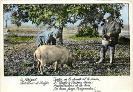 EN PERIGORD CHERCHEUR DE TRUFFES - Autres