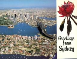 (268) Australia - New South Wales - Greetings From Sydney - Waratha Flower - Otros & Sin Clasificación